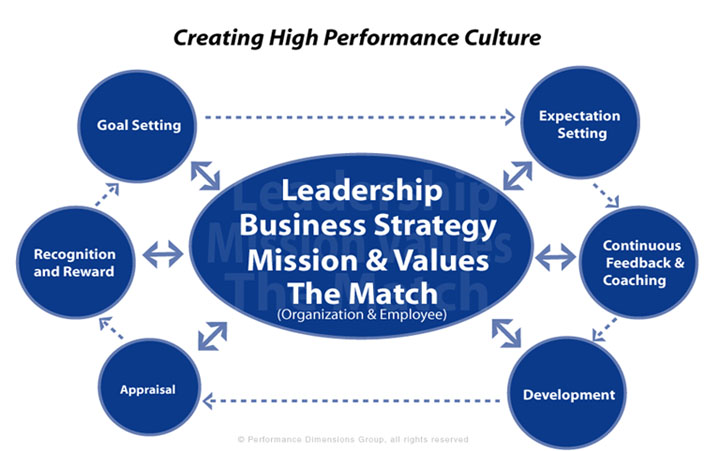 Creating high performance culture